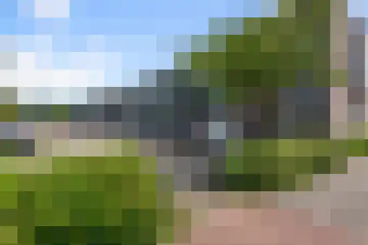 Columbiahof 24 Aalsmeer thumbnail 31