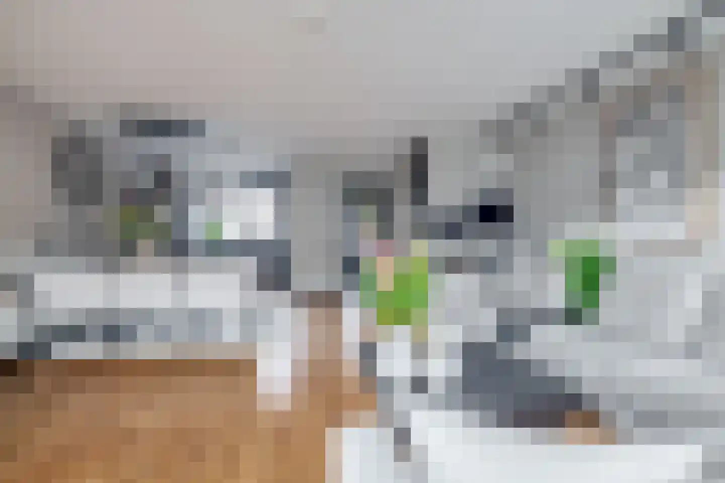 Columbiastraat 22 Spijkenisse thumbnail 20
