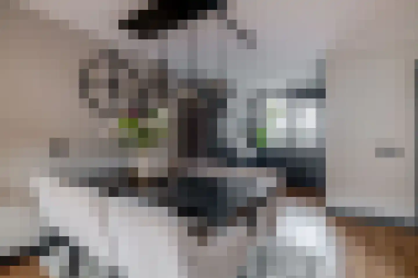Columbiastraat 22 Spijkenisse thumbnail 22