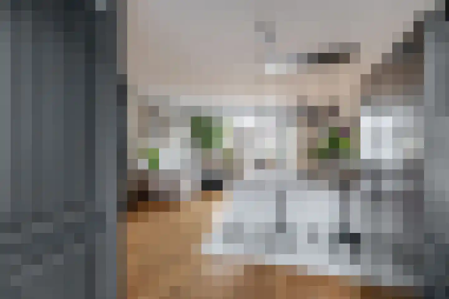 Columbiastraat 22 Spijkenisse thumbnail 25