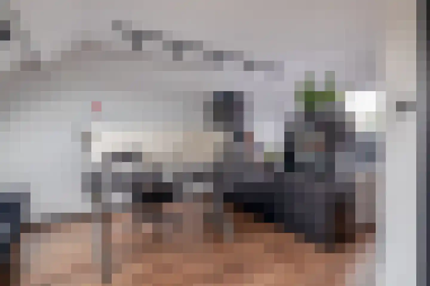 Columbiastraat 22 Spijkenisse thumbnail 39