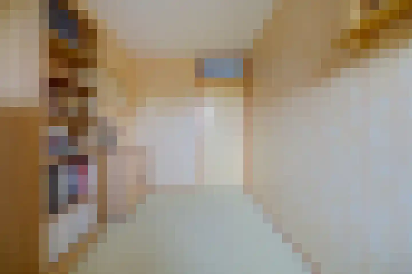 Columbiastraat 7 Spijkenisse thumbnail 21