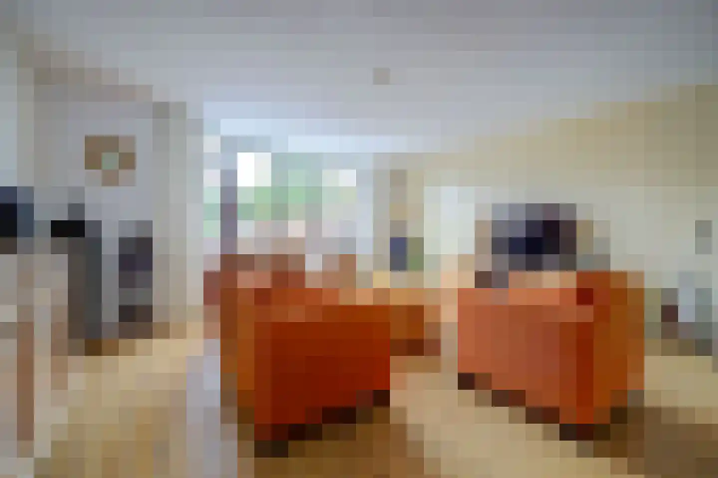 Columbiastraat 7 Spijkenisse thumbnail 9