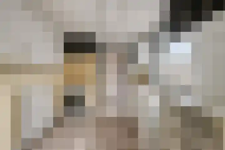 Columbusplein 12 Tilburg thumbnail 13