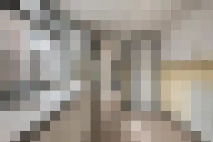 Columbusplein 12 Tilburg thumbnail 15