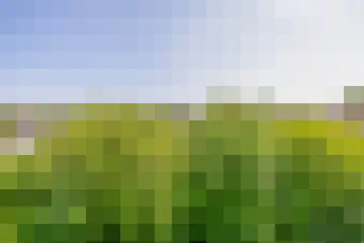 Columbusrede 68 Zoetermeer thumbnail 20
