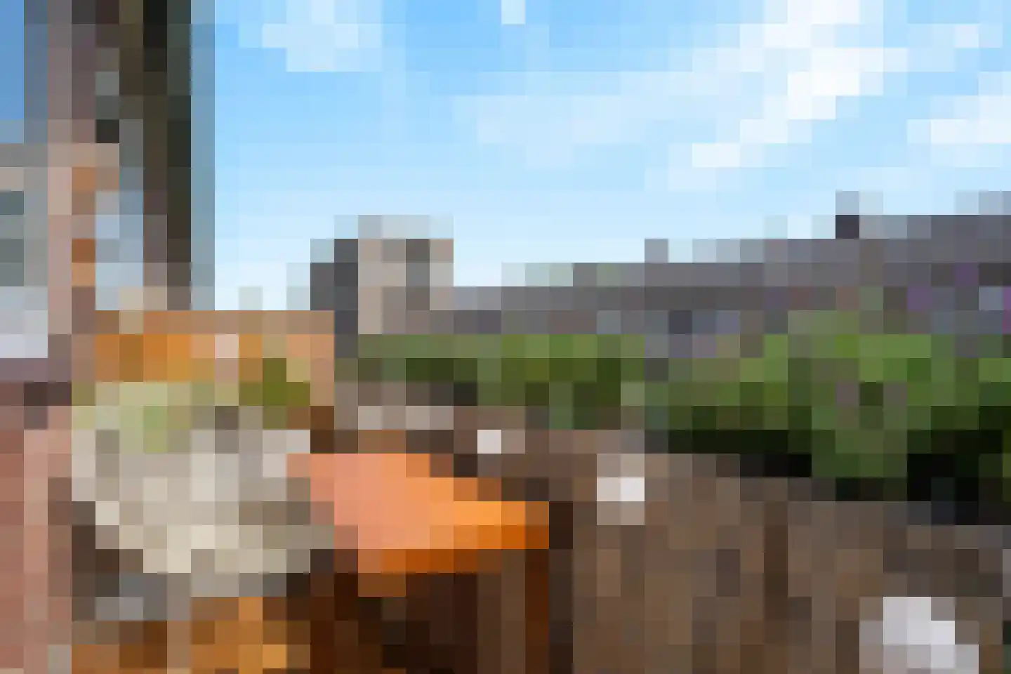 Columbusstraat 13 C Breda thumbnail 20