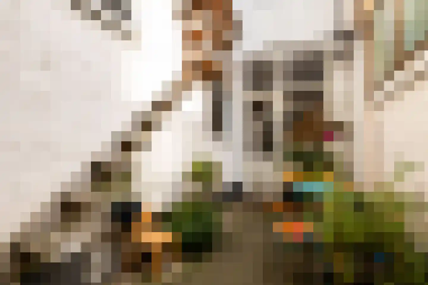 Columbusstraat 2 Den Haag thumbnail 31