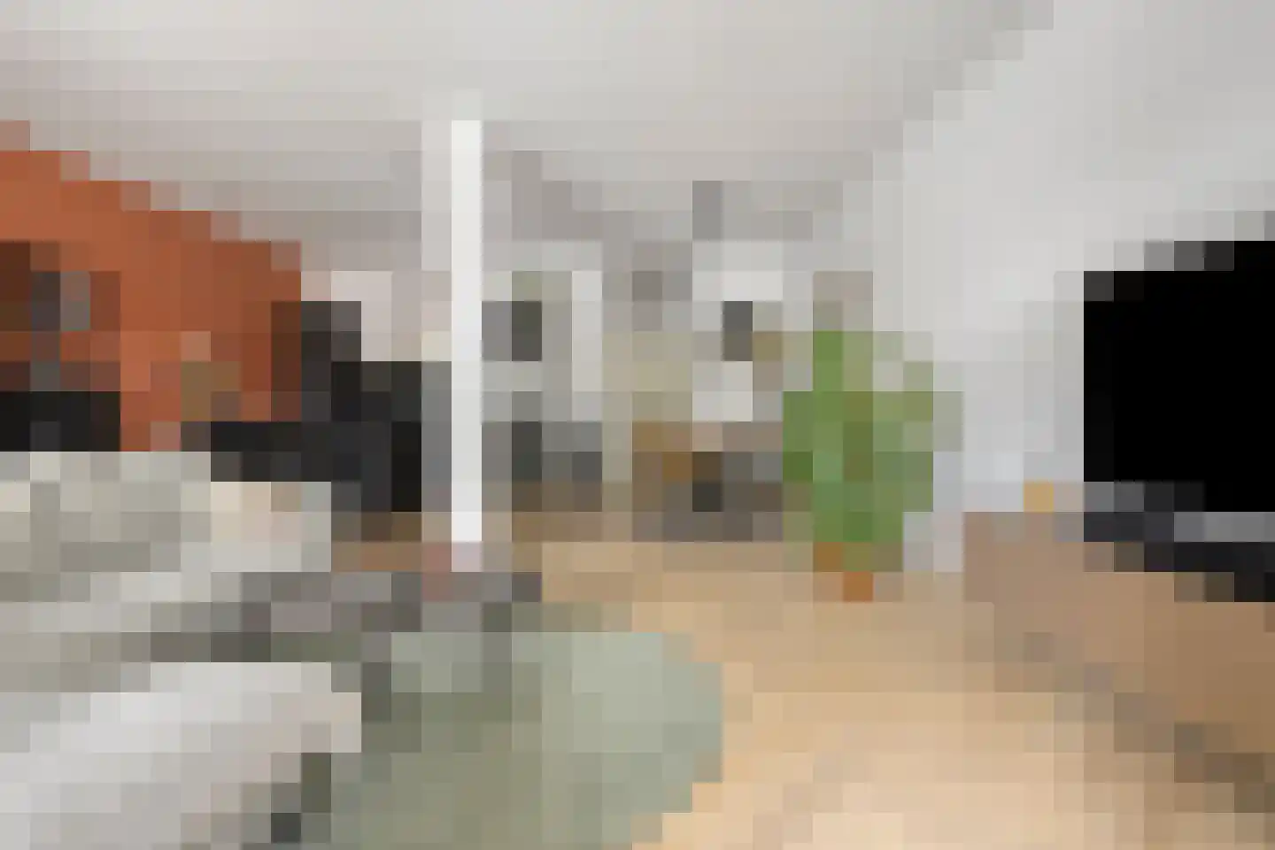 Columbusstraat 23 's-Hertogenbosch thumbnail 7