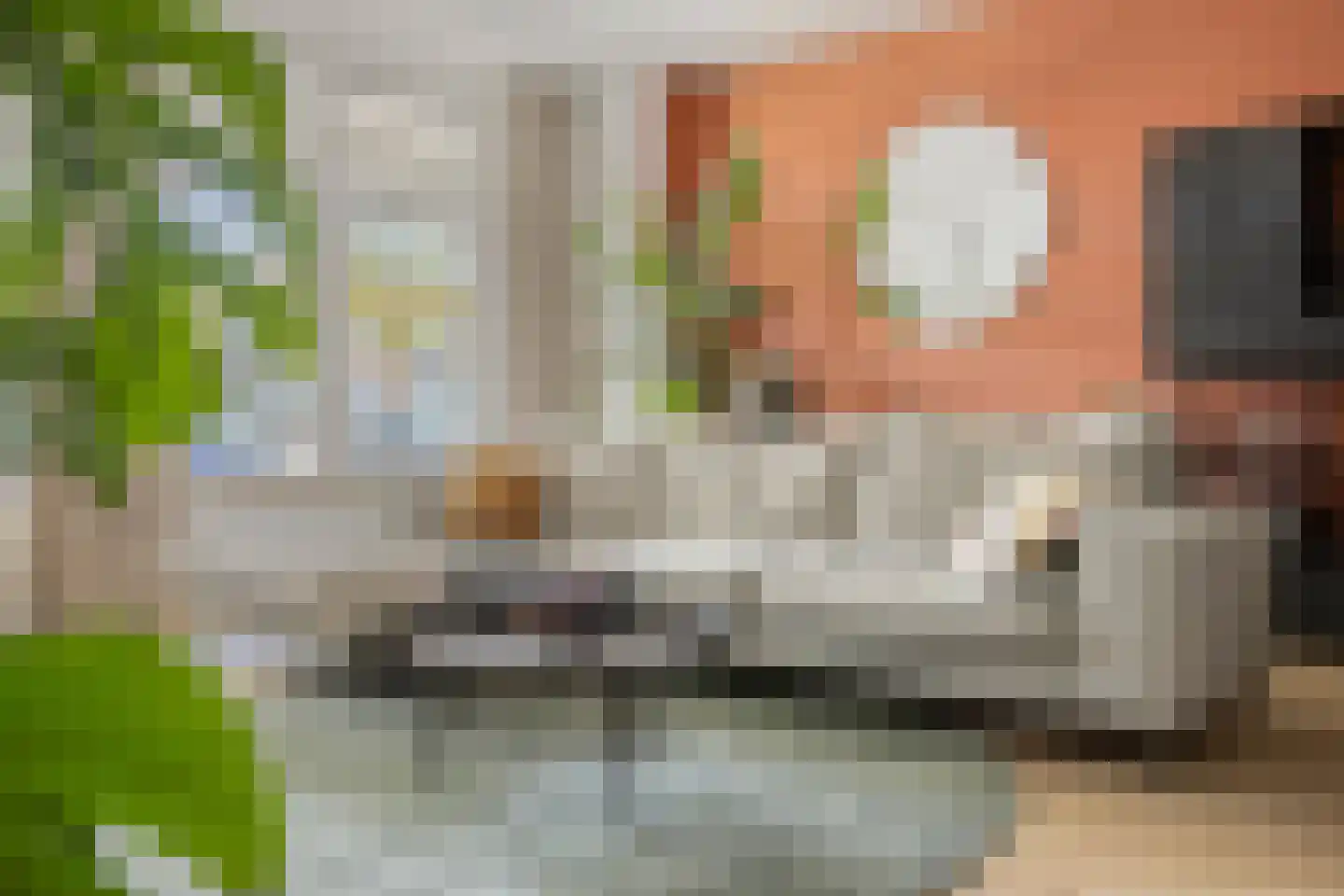 Columbusstraat 23 's-Hertogenbosch thumbnail 8