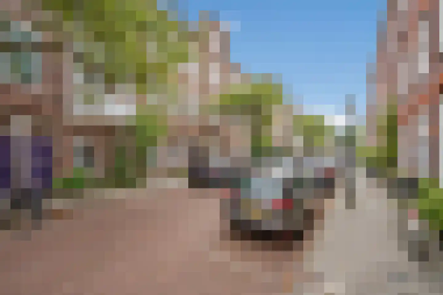 Columbusstraat 253 Den Haag thumbnail 6