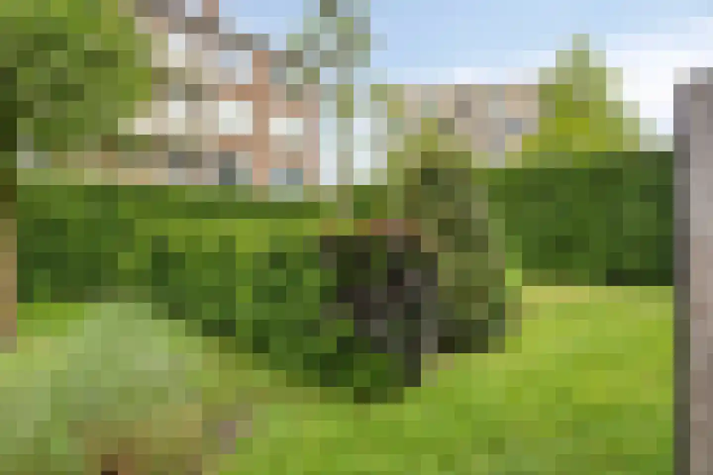 Columbusstraat 4 Breda thumbnail 36