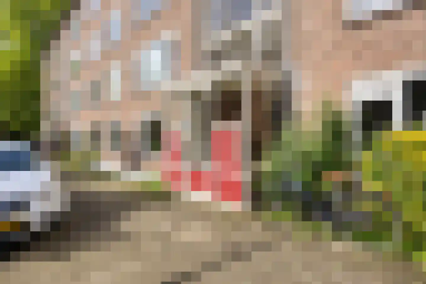 Columbusstraat 4 Breda thumbnail 8