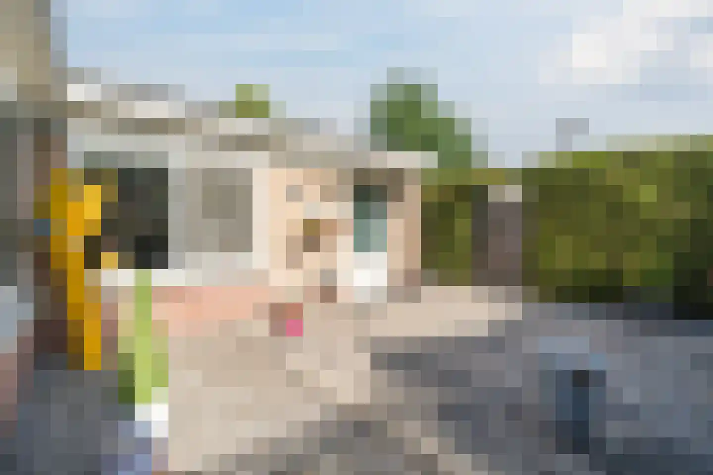 Columbusstraat 42 Geldrop thumbnail 26