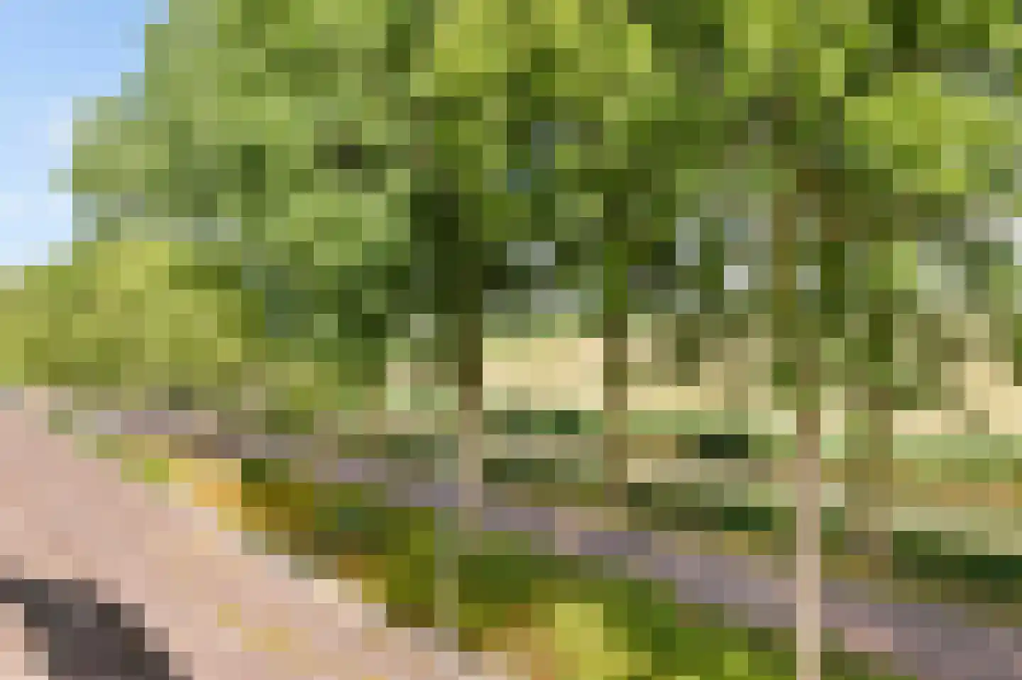 Columbusstraat 5 Alkmaar thumbnail 36
