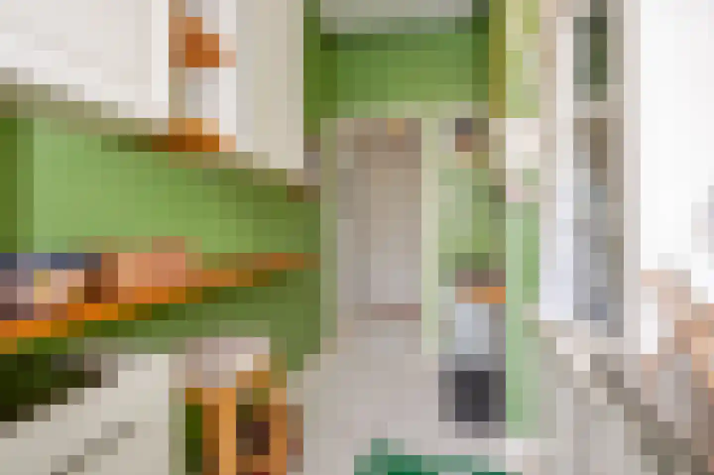 Columbusstraat 88 Den Haag thumbnail 13
