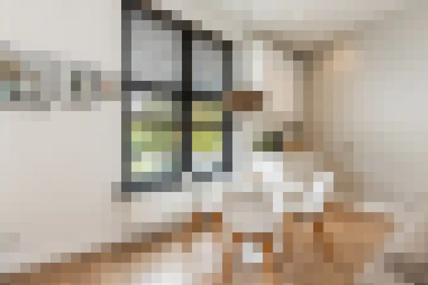 Colvenierstraat 6 A 's-Hertogenbosch thumbnail 6
