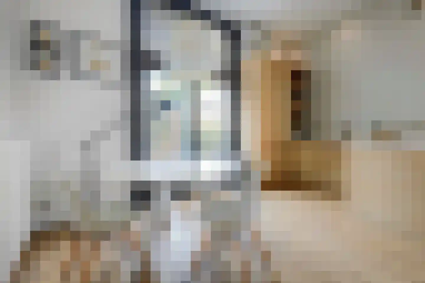 Colvenierstraat 6 's-Hertogenbosch thumbnail 10