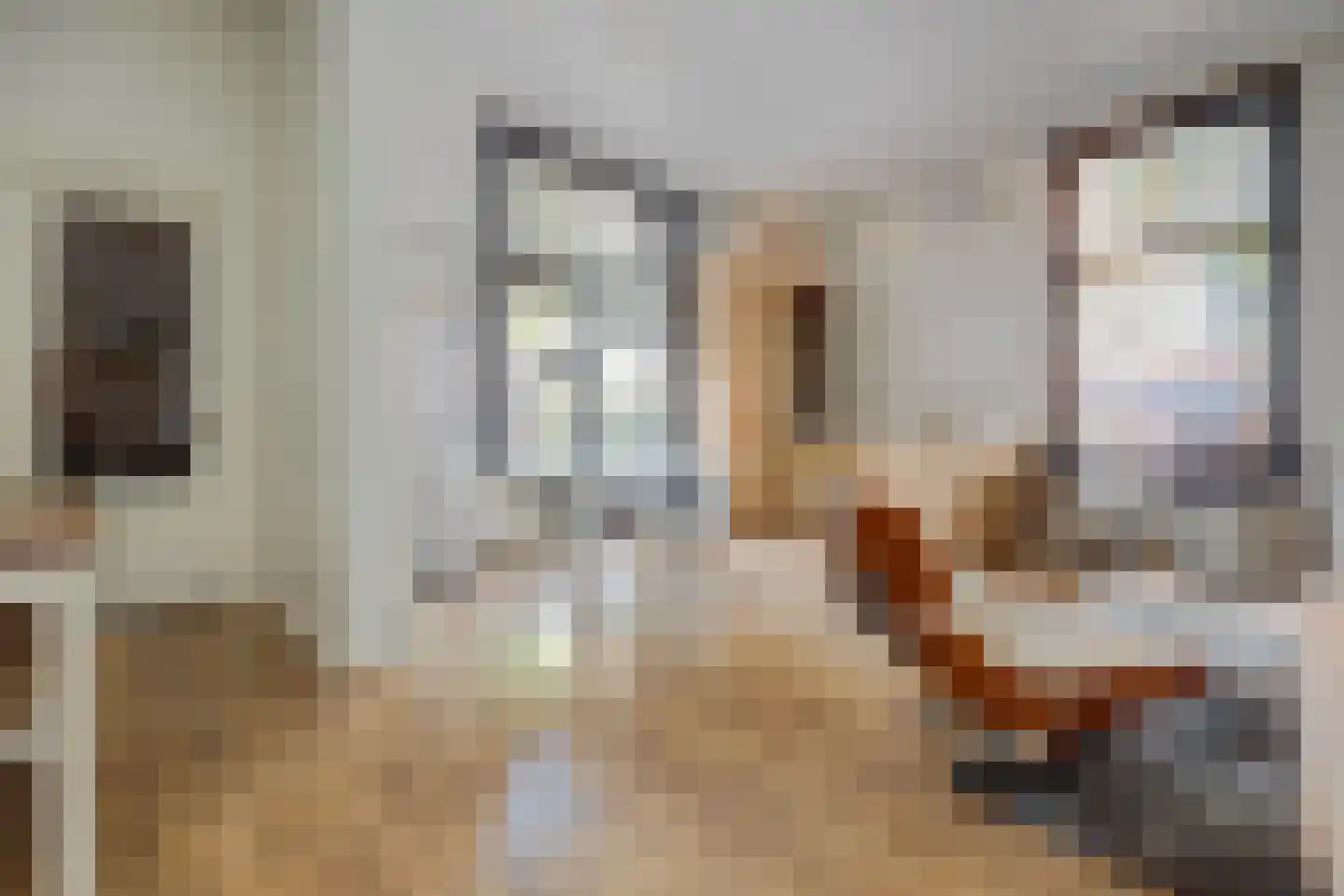 Colvenierstraat 6 's-Hertogenbosch thumbnail 7