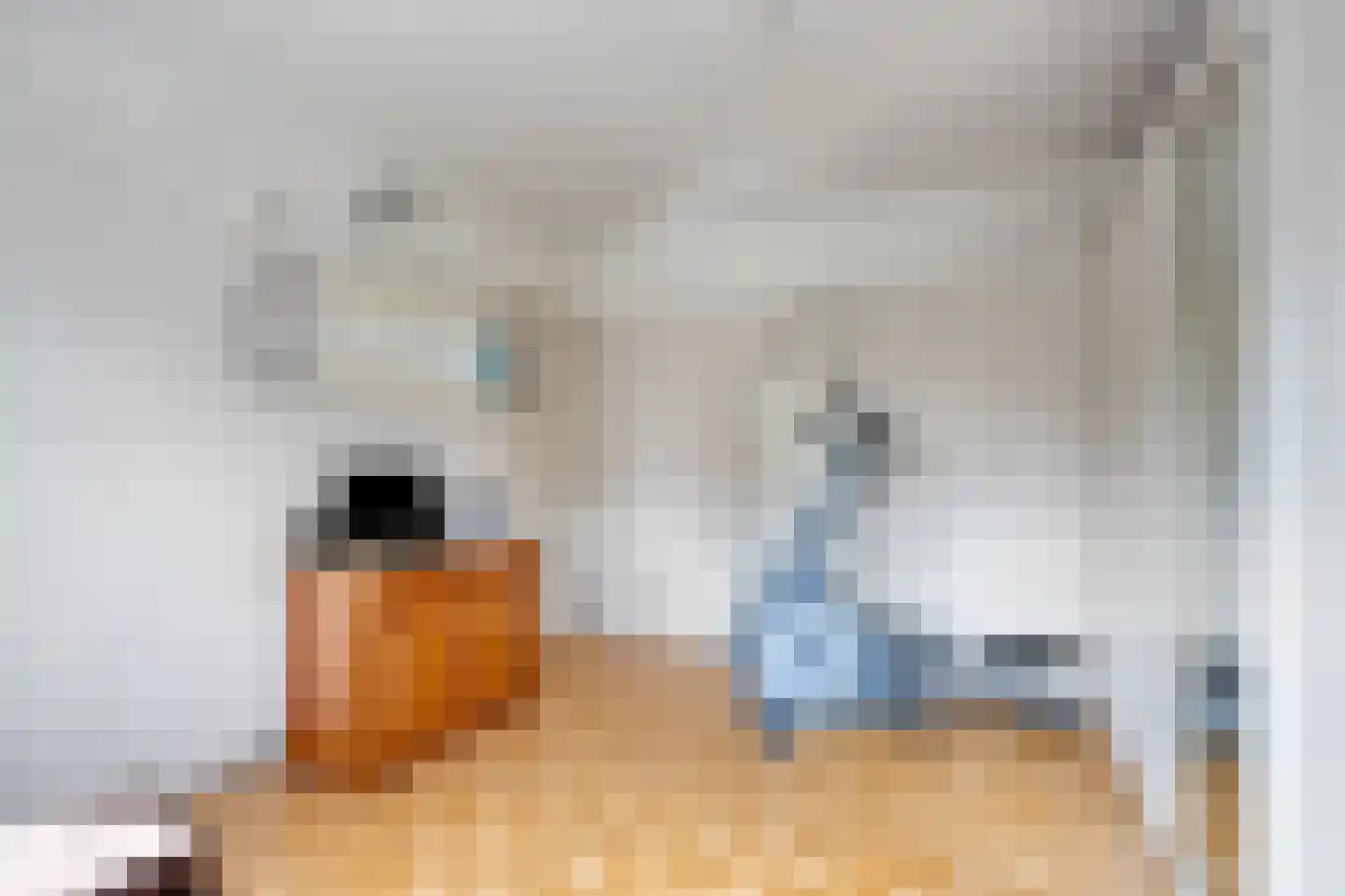 Comansstraat 7 Alkmaar thumbnail 18