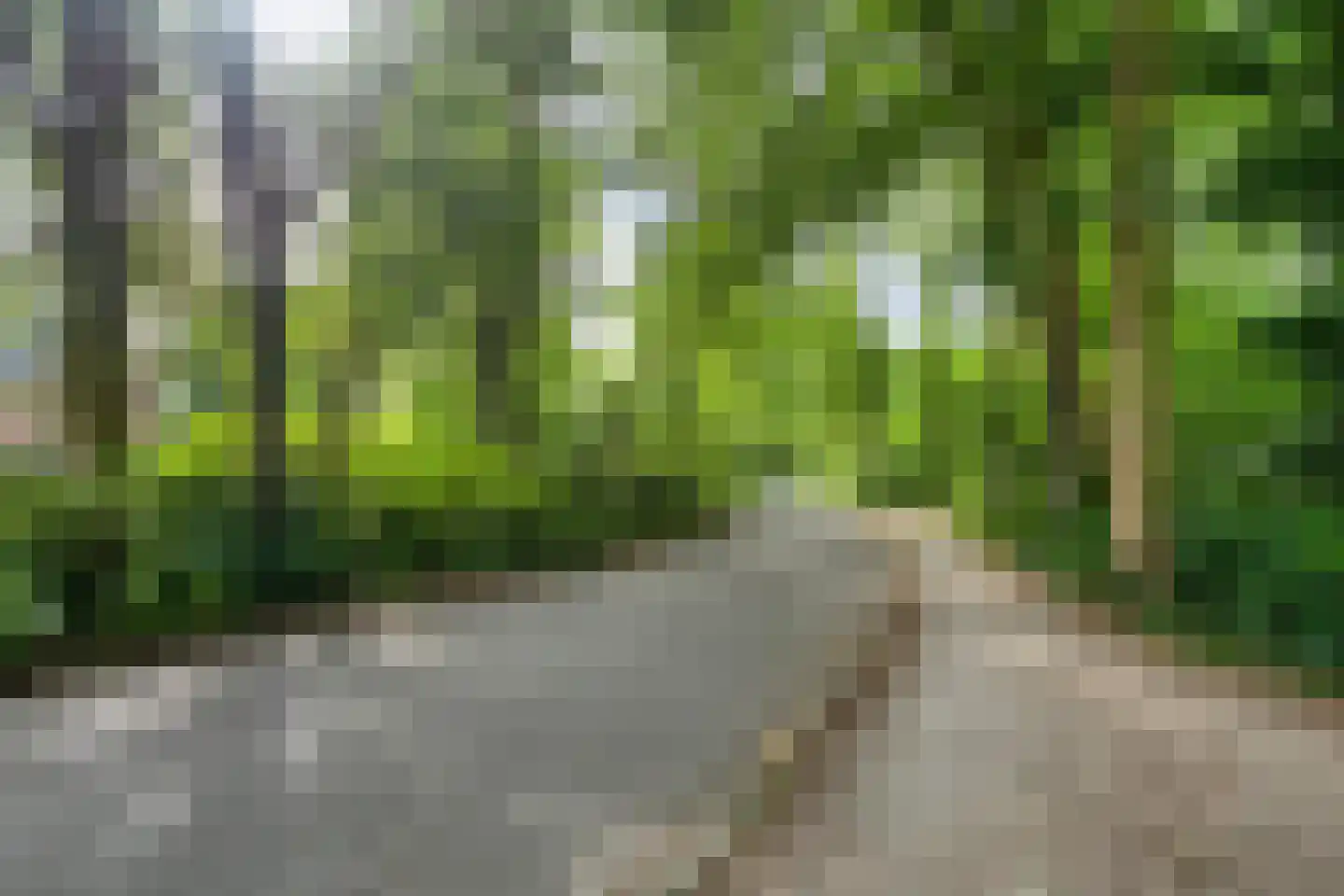 Comansstraat 7 Alkmaar thumbnail 37