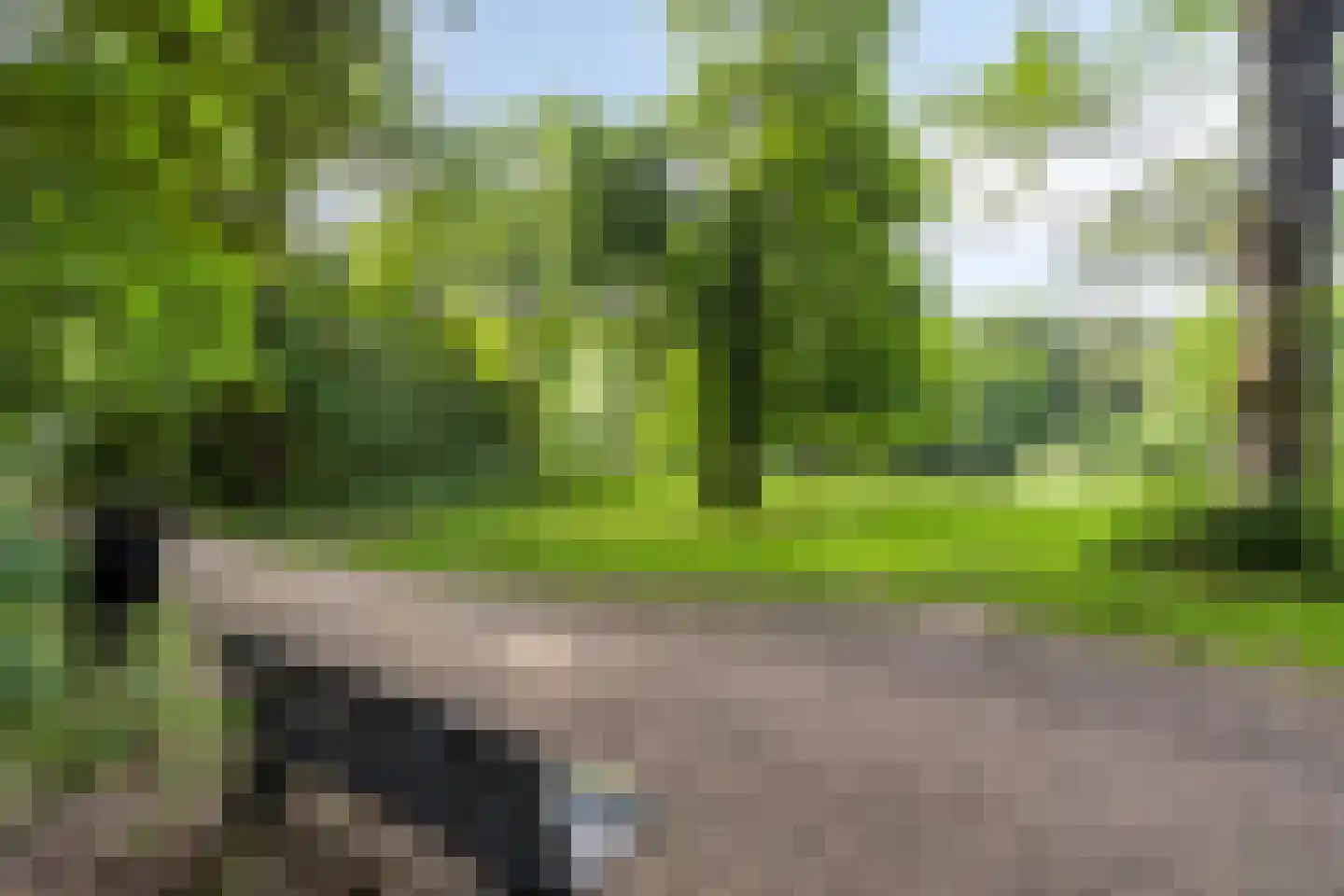 Comansstraat 7 Alkmaar thumbnail 38
