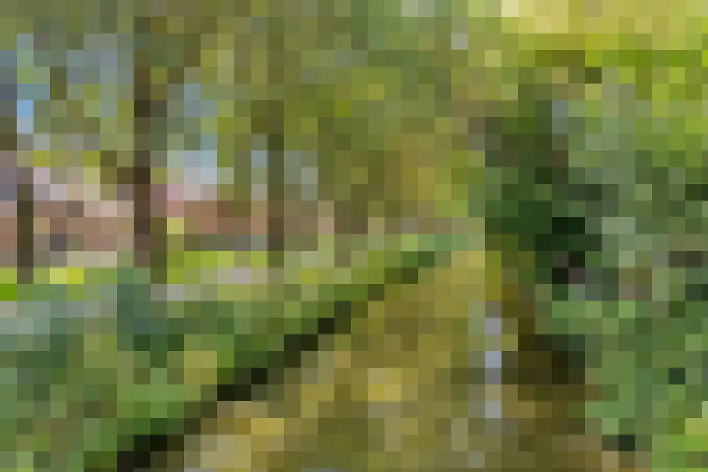Combinatiepolder 29 's-Hertogenbosch thumbnail 29