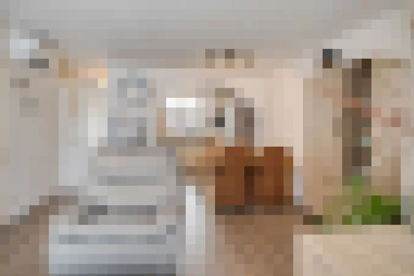 Combinatiepolder 29 's-Hertogenbosch thumbnail 7