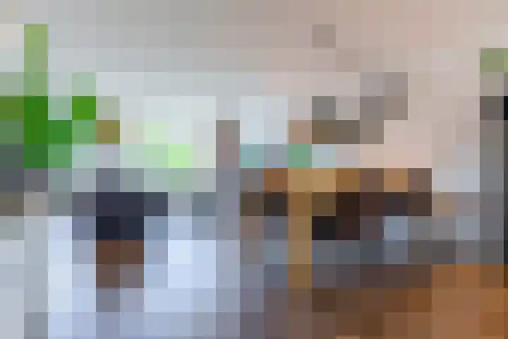 Combinatiepolder 74 's-Hertogenbosch thumbnail 12