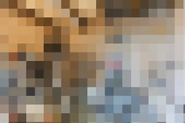 Combinatiepolder 74 's-Hertogenbosch thumbnail 30