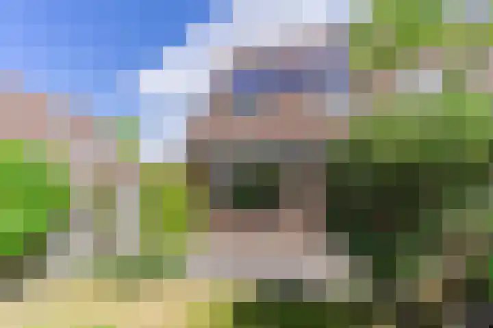 Combinatiepolder 74 's-Hertogenbosch thumbnail 33