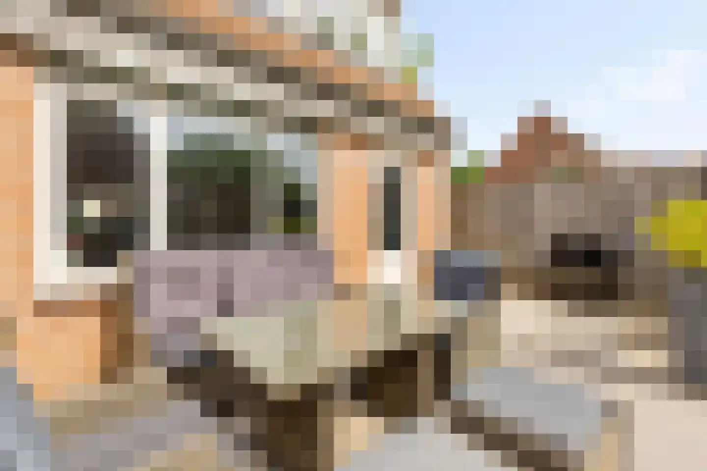 Combinatiepolder 76 's-Hertogenbosch thumbnail 35