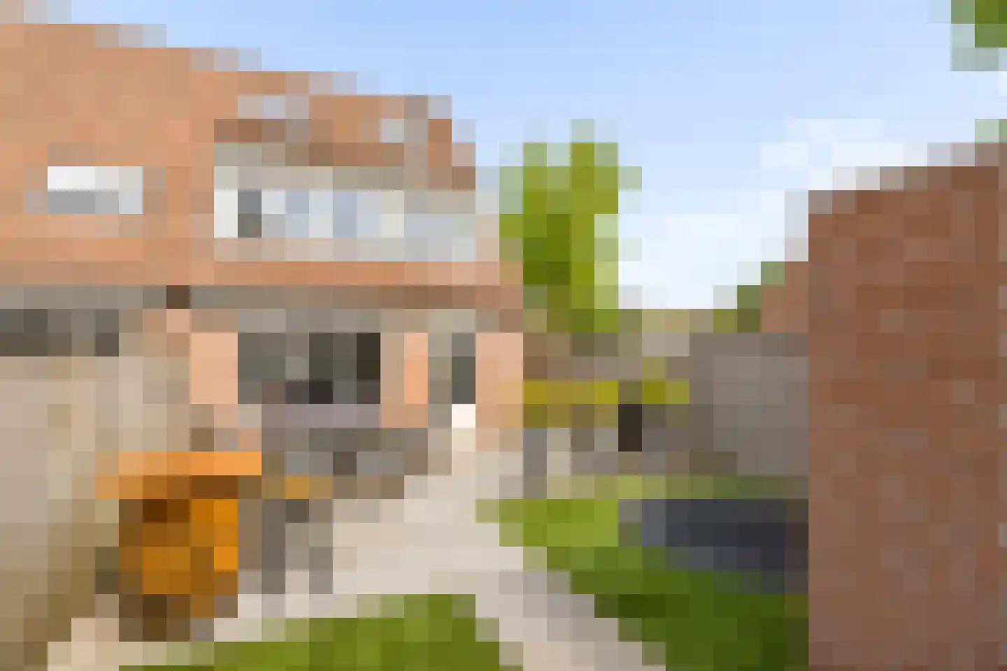 Combinatiepolder 76 's-Hertogenbosch thumbnail 4