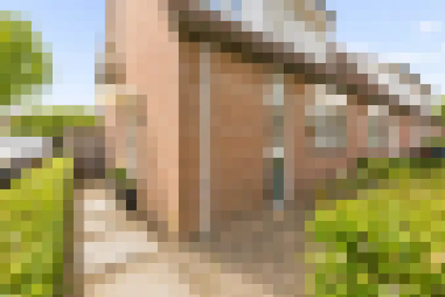 Combinatiepolder 76 's-Hertogenbosch thumbnail 40