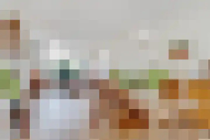 Comeniushof 122 Hilversum thumbnail 10