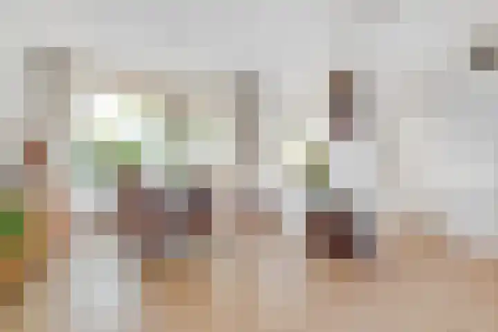 Comeniushof 122 Hilversum thumbnail 11