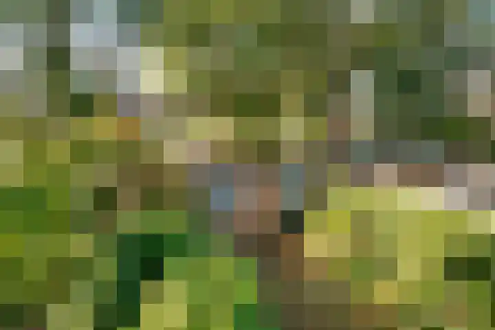 Comeniushof 122 Hilversum thumbnail 19