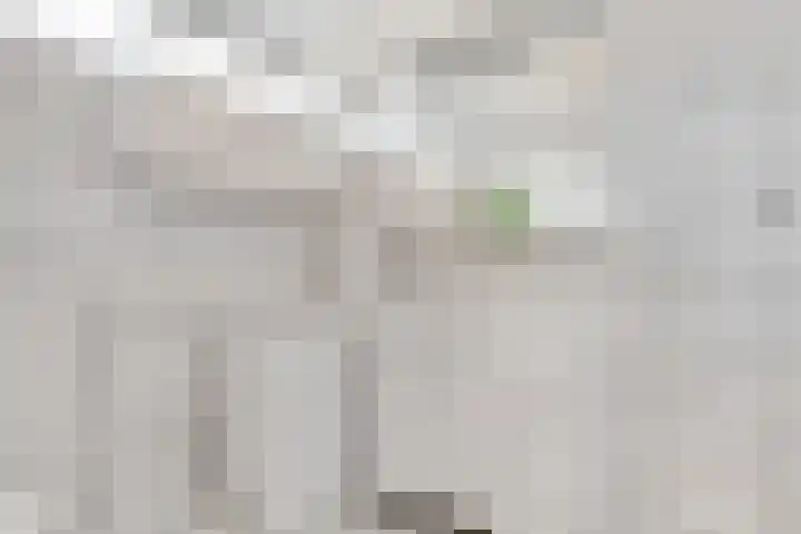 Comeniushof 122 Hilversum thumbnail 21
