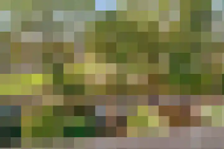 Comeniushof 122 Hilversum thumbnail 29