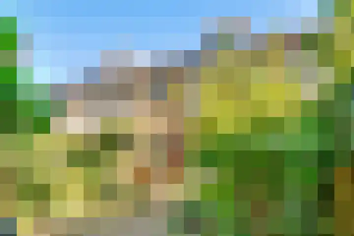 Comeniushof 122 Hilversum thumbnail 33