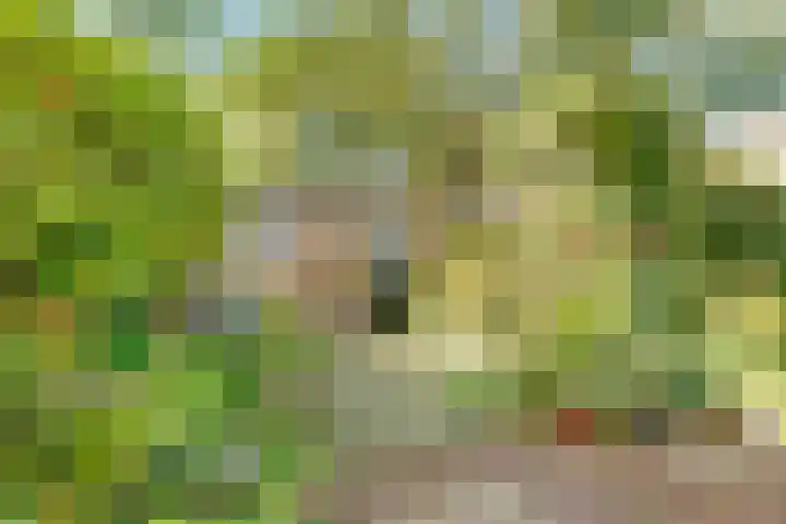 Comeniushof 122 Hilversum thumbnail 34