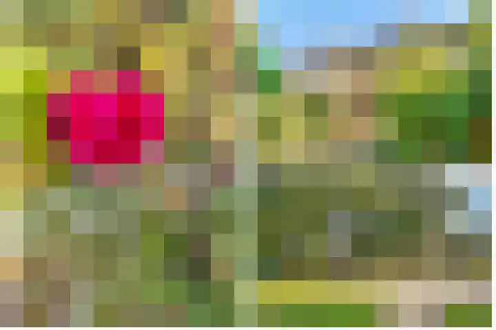 Comeniushof 122 Hilversum thumbnail 37