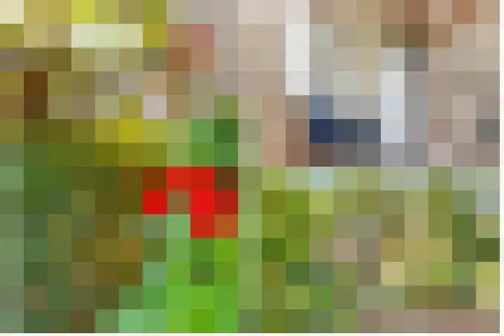 Comeniushof 122 Hilversum thumbnail 38