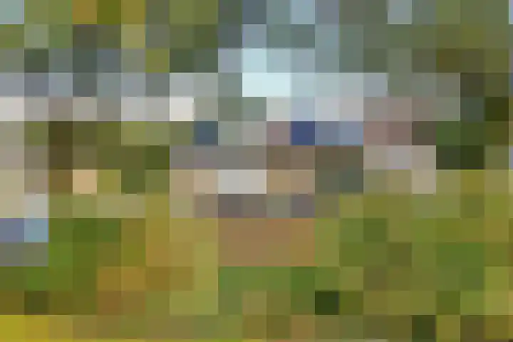 Comeniushof 122 Hilversum thumbnail 41