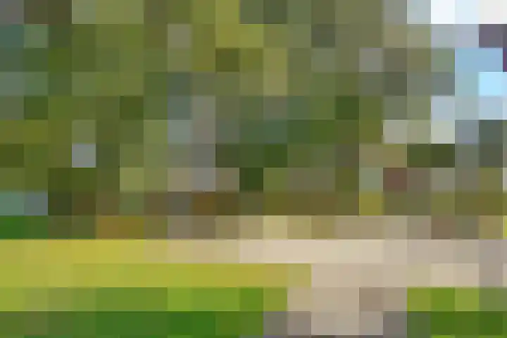 Comeniushof 122 Hilversum thumbnail 43