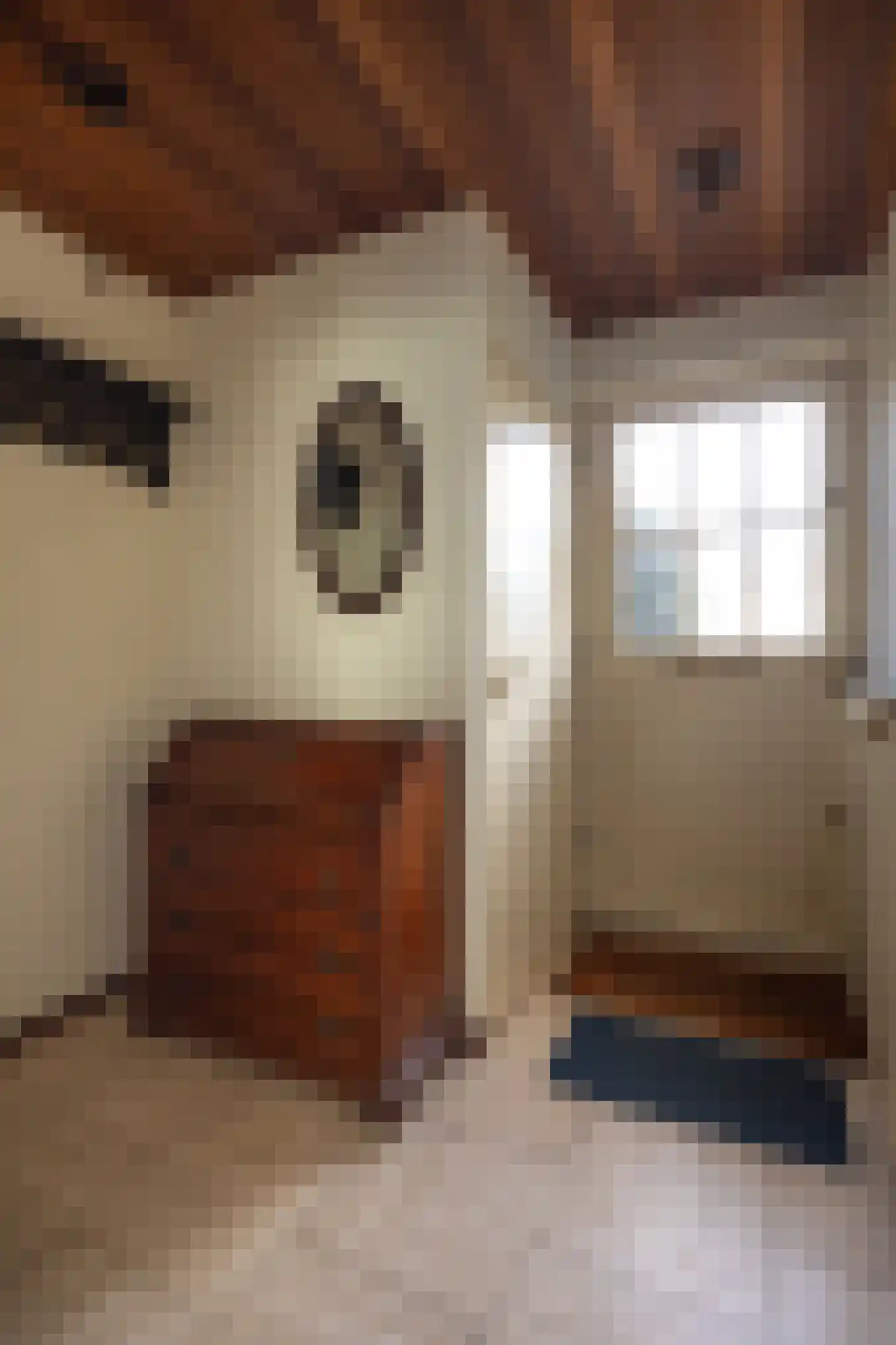 Comeniushof 70 Hilversum thumbnail 12