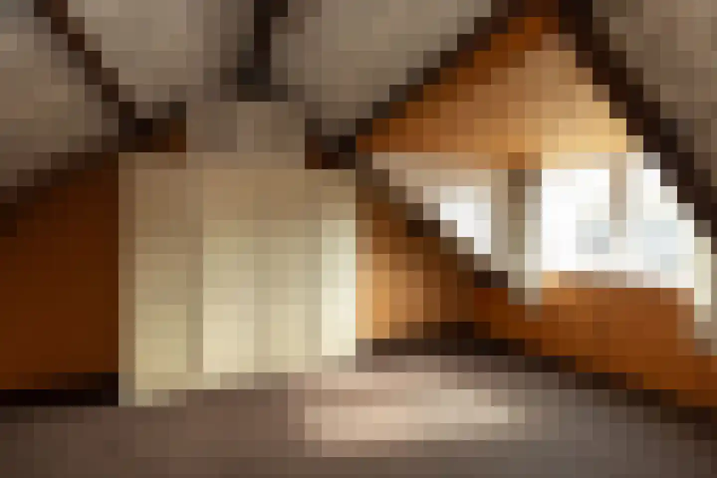 Comeniushof 70 Hilversum thumbnail 19
