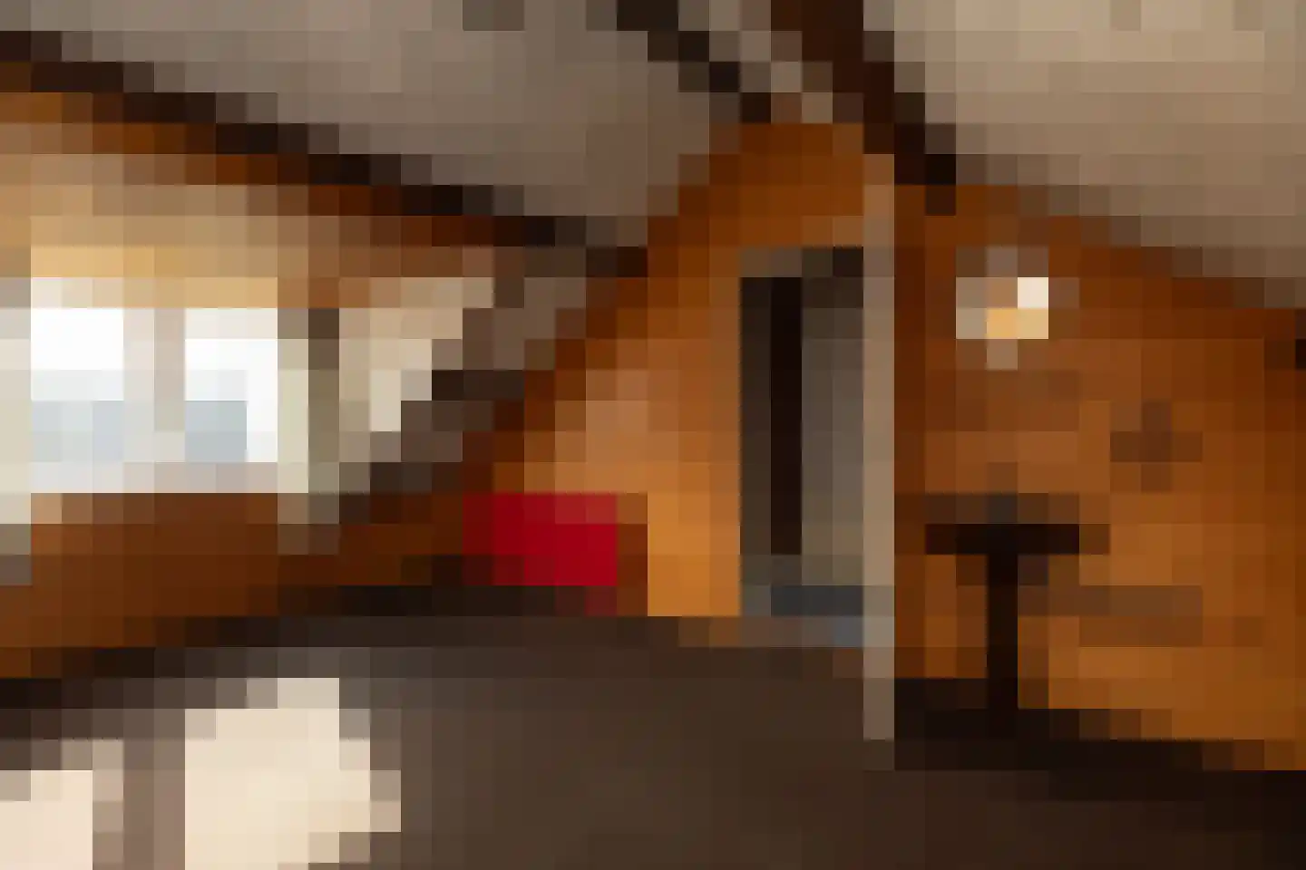 Comeniushof 70 Hilversum thumbnail 20