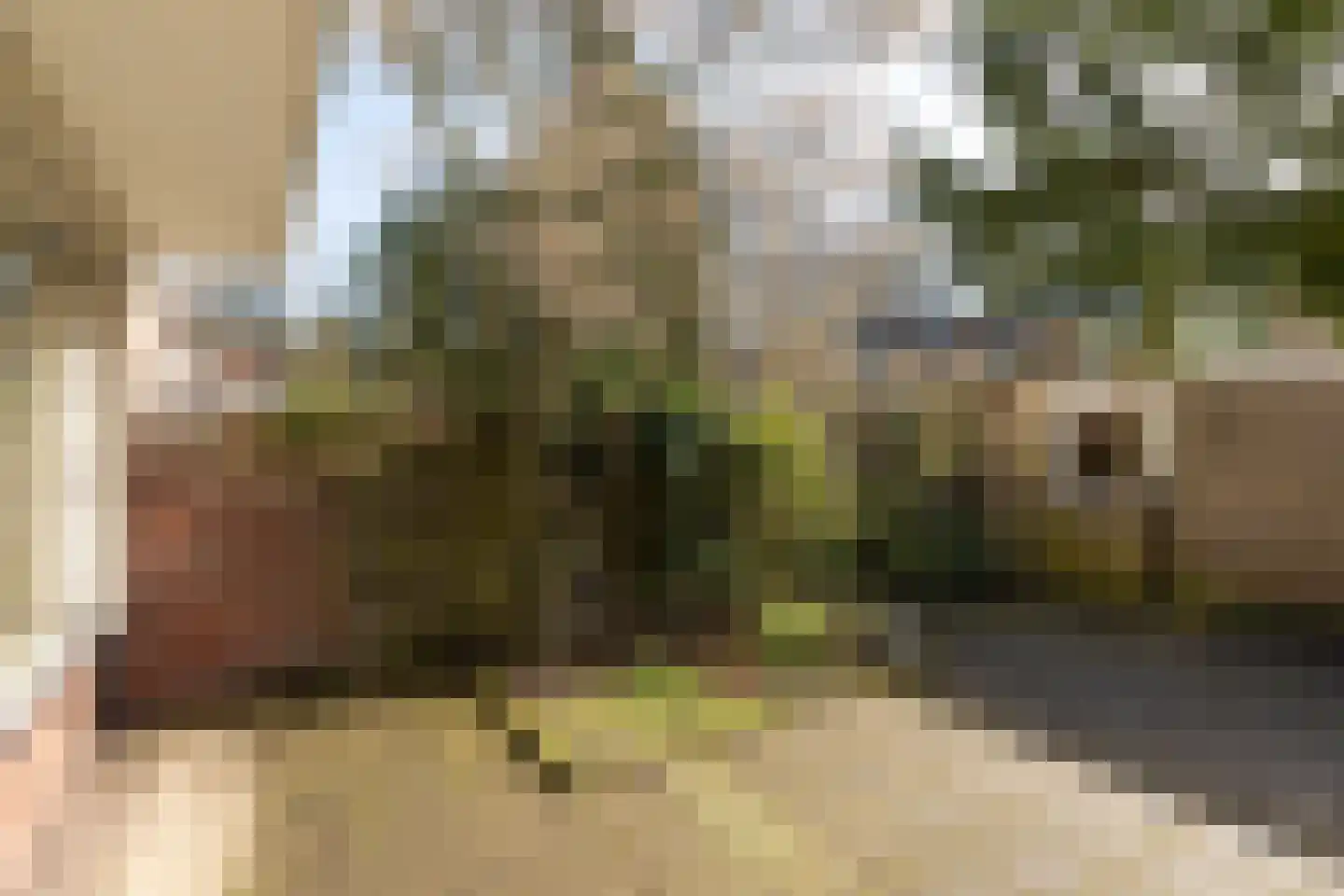 Comeniushof 70 Hilversum thumbnail 22