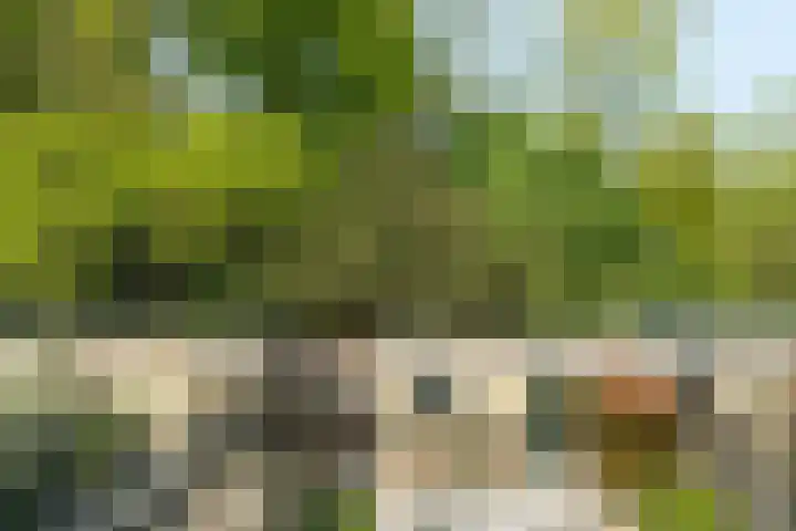 Comeniushof 92 Hilversum thumbnail 12